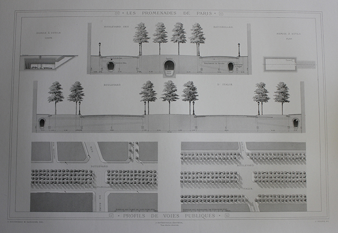 Le second empire est une période importante pour les arbres d’alignement Ici, le boulevard des Batignolles, gravure extraite de l’ouvrage d’A Alphand